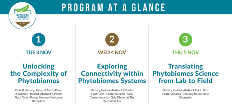 Program